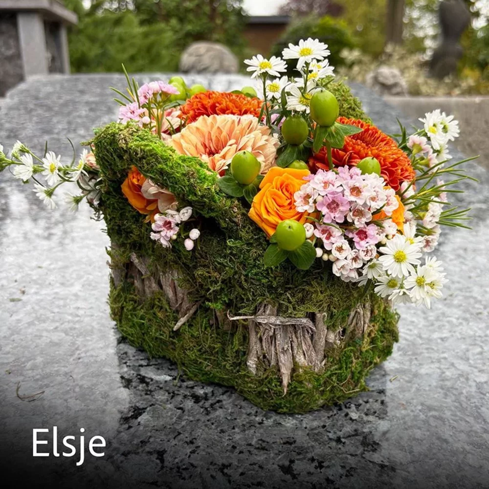 ELSJE
