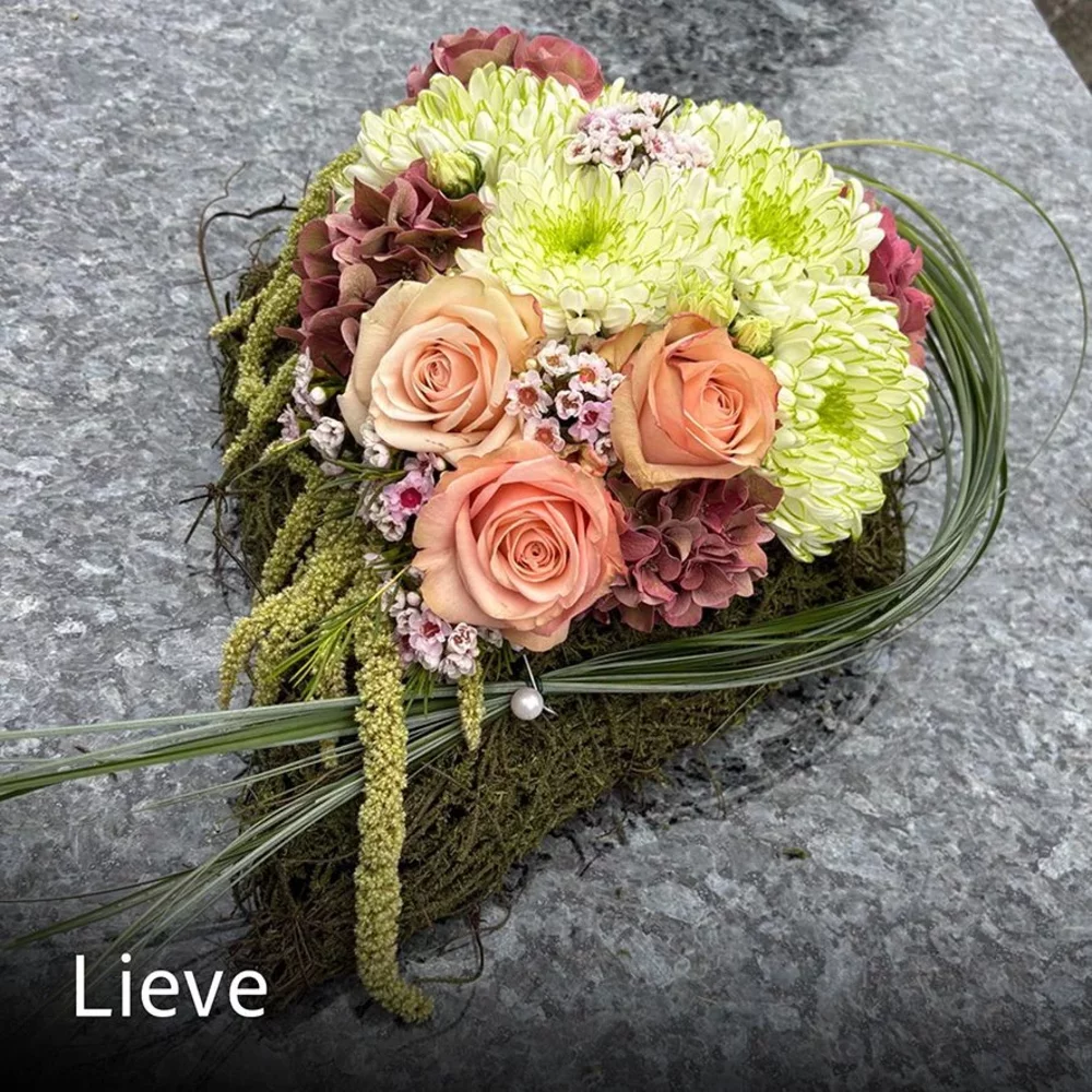 LIEVE