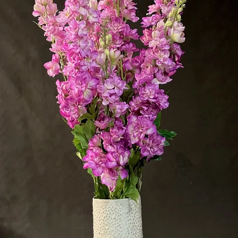 VAAS DELPHINIUM