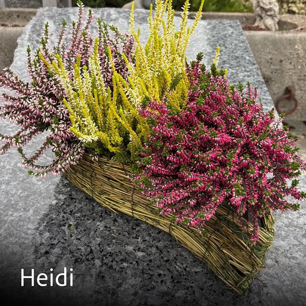 HEIDI
