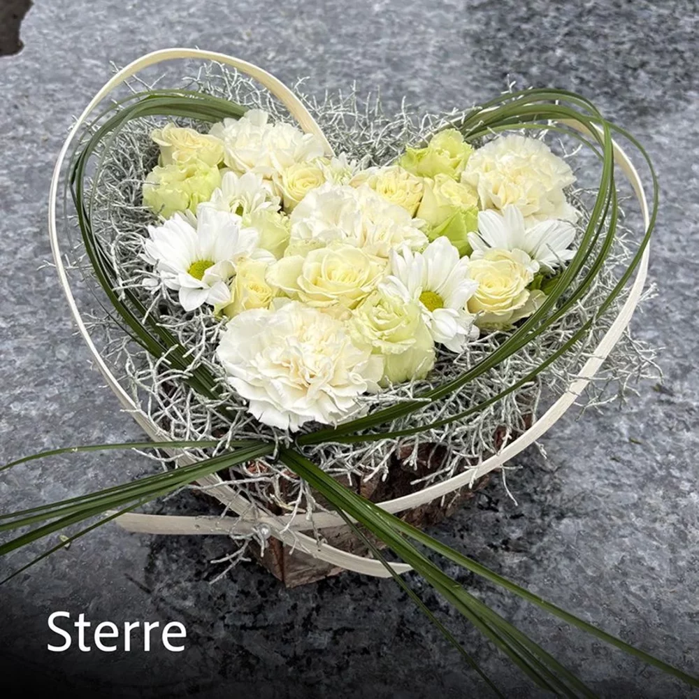STERRE