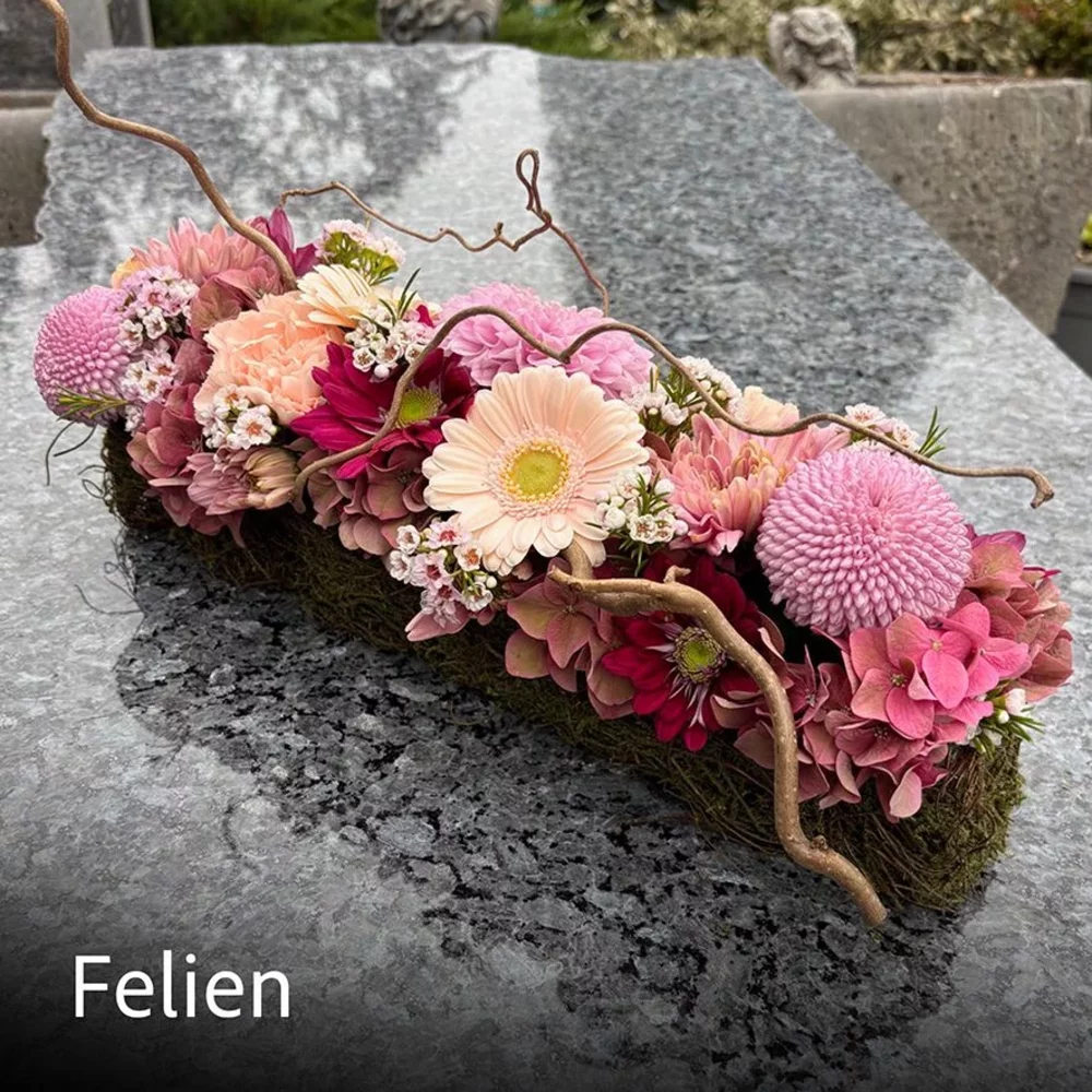 FELIEN