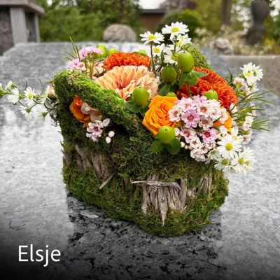 ELSJE