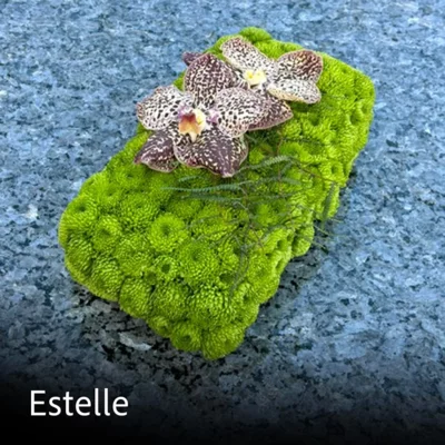 ESTELLE