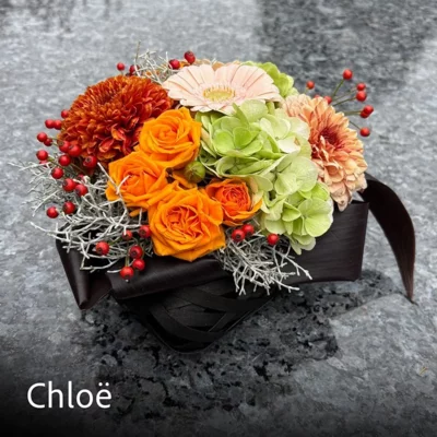 CHLOE