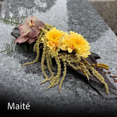 MAITE